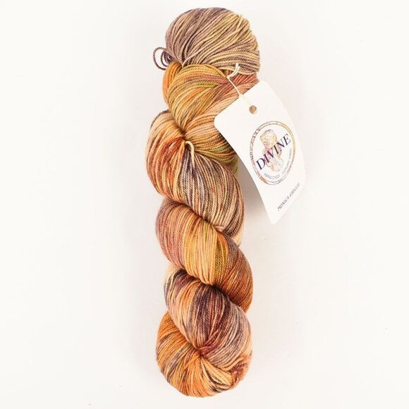 Divine Yarn Touch Merino Silk Cashmere 437 Yds Hand Dyed Cornucopia Colorway - Picture 1 of 3